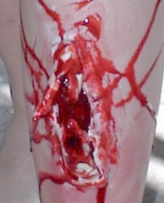 FX leg2