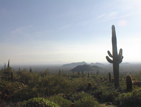 Toward the valley