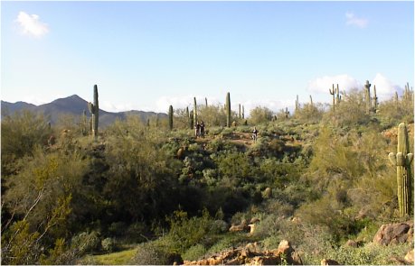 Desert view